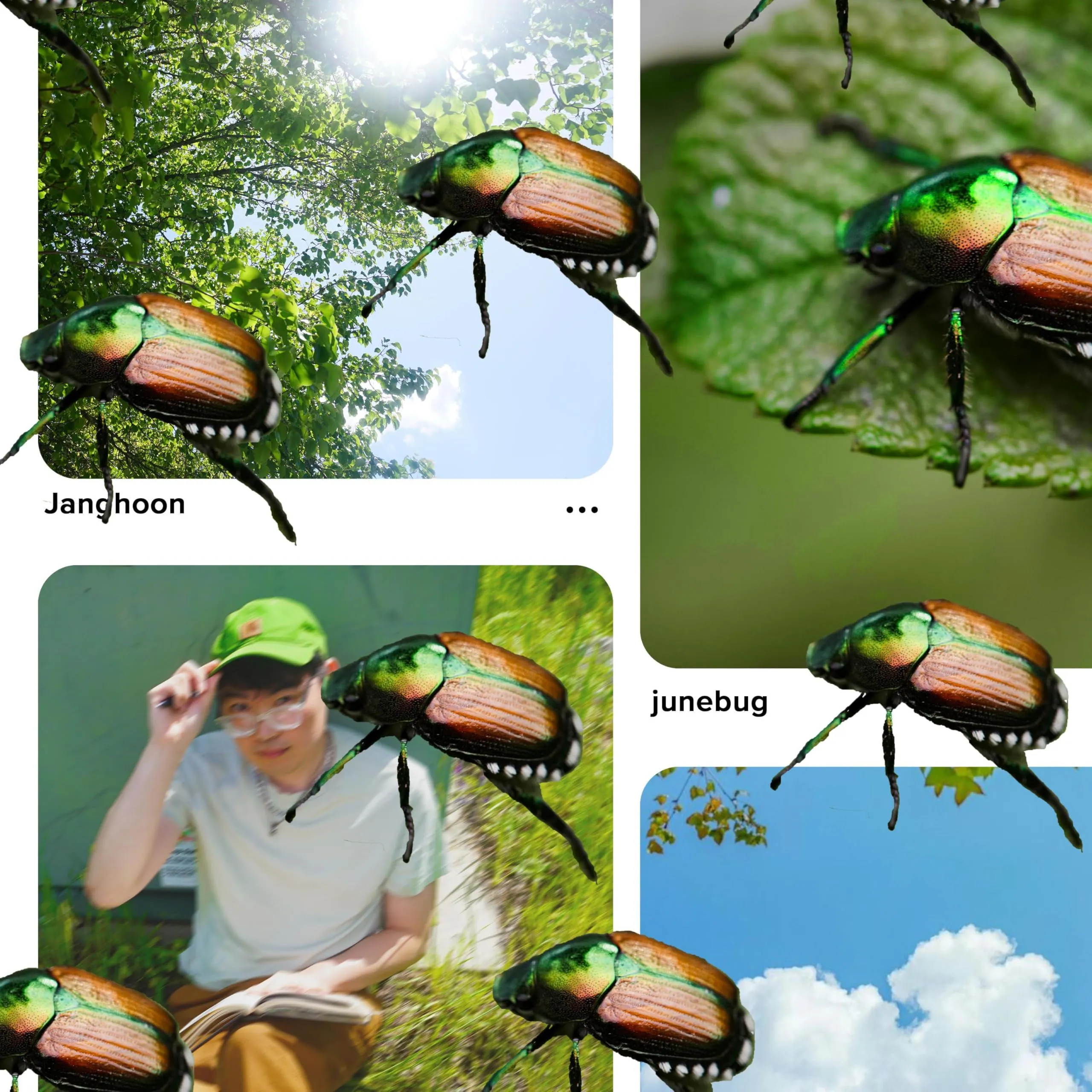 junebug by Janghoon